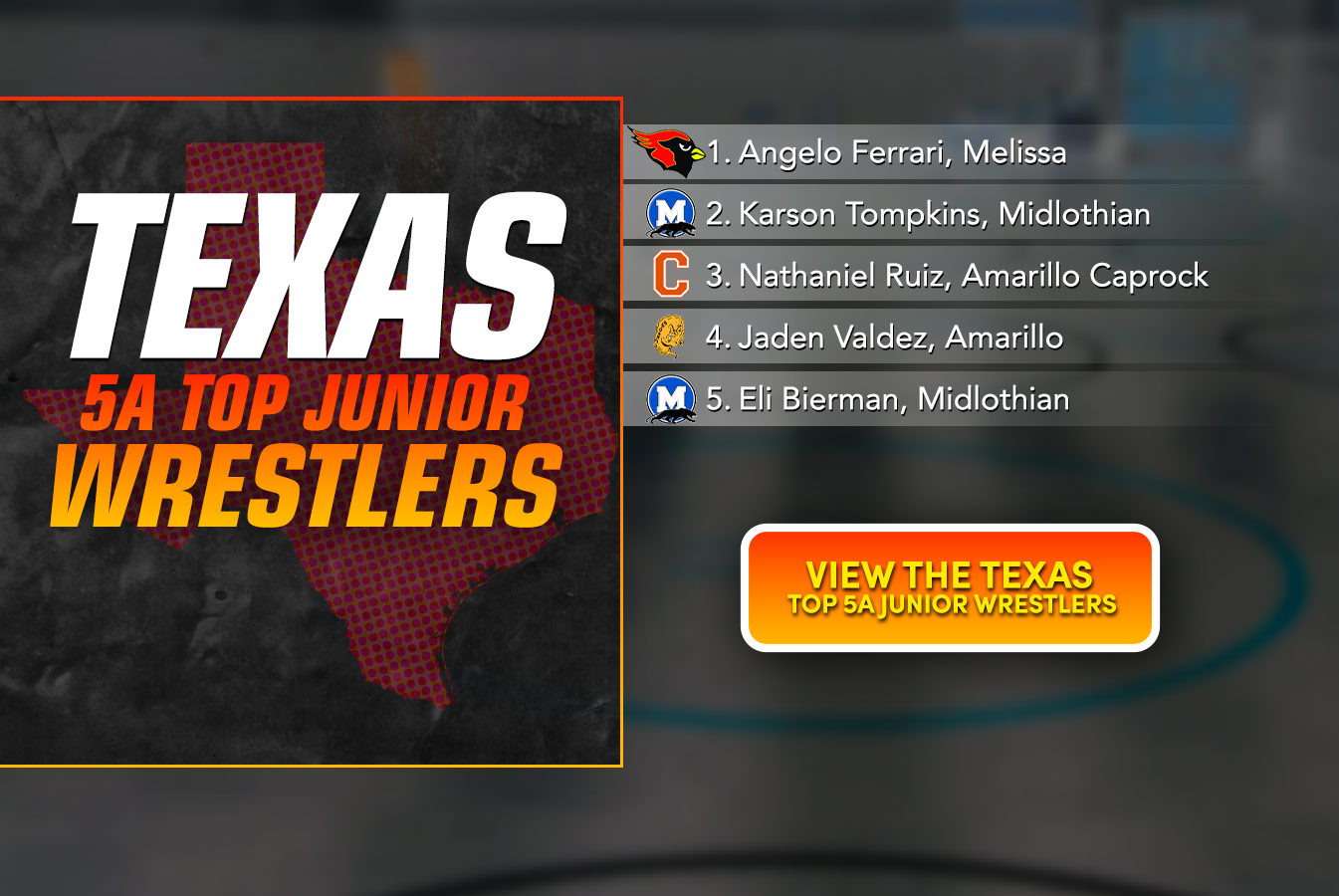 Texas 5A Top Junior Wrestlers